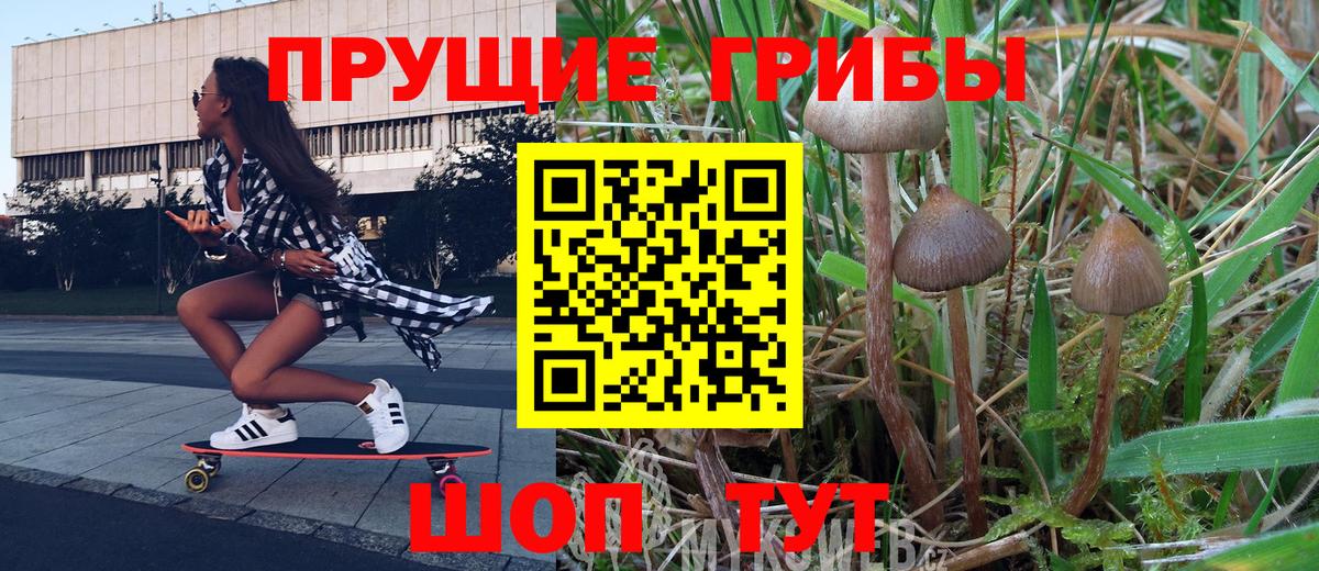 Каменск-Шахтинский  Галлюциногенные грибы Psilocybine cubensis  Вход с VPN 