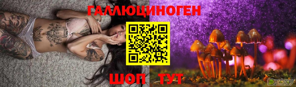 Галлюциногенные грибы Cubensis Каменск-Шахтинский